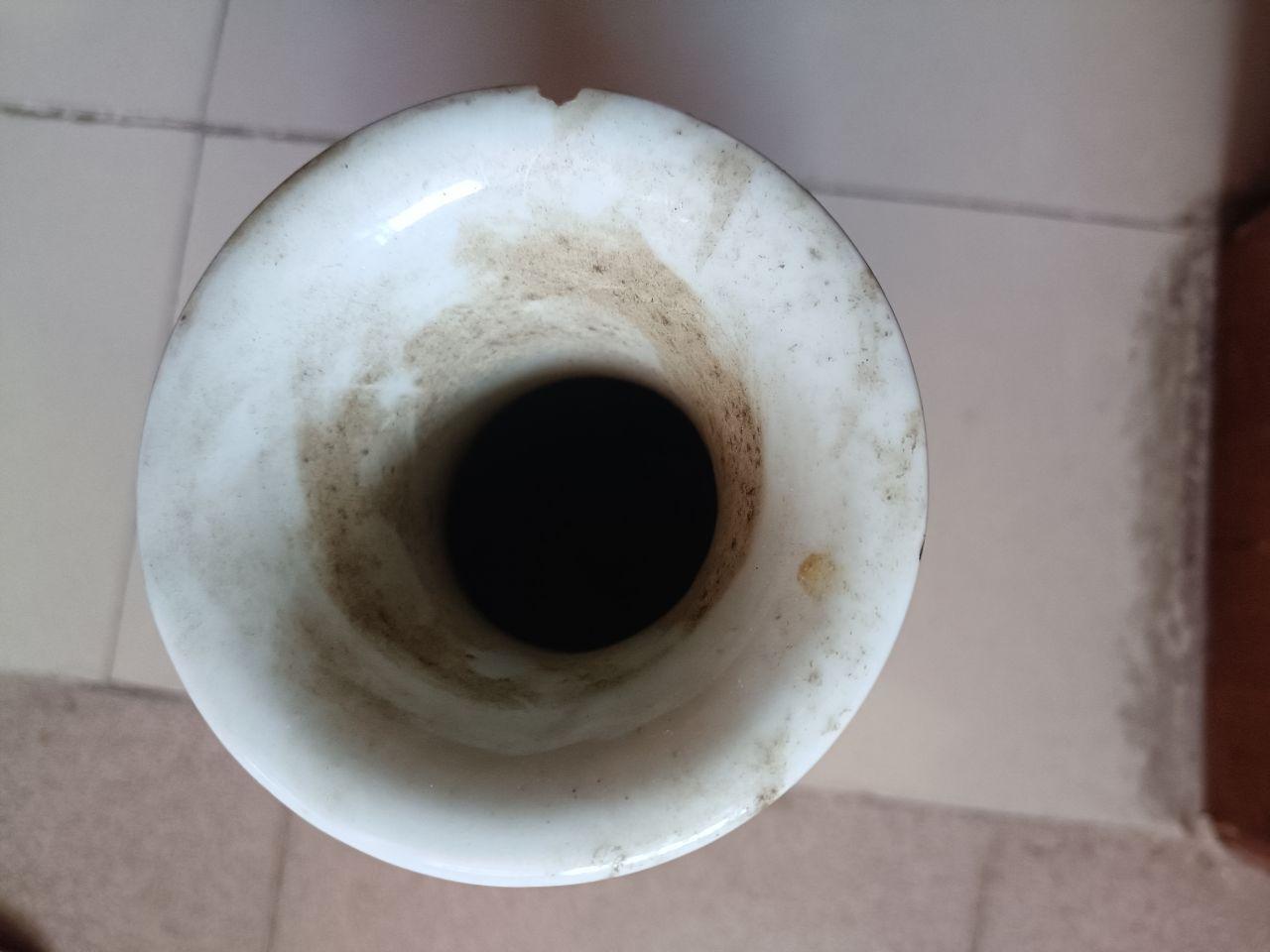 浅绛彩天女散花图双耳瓶