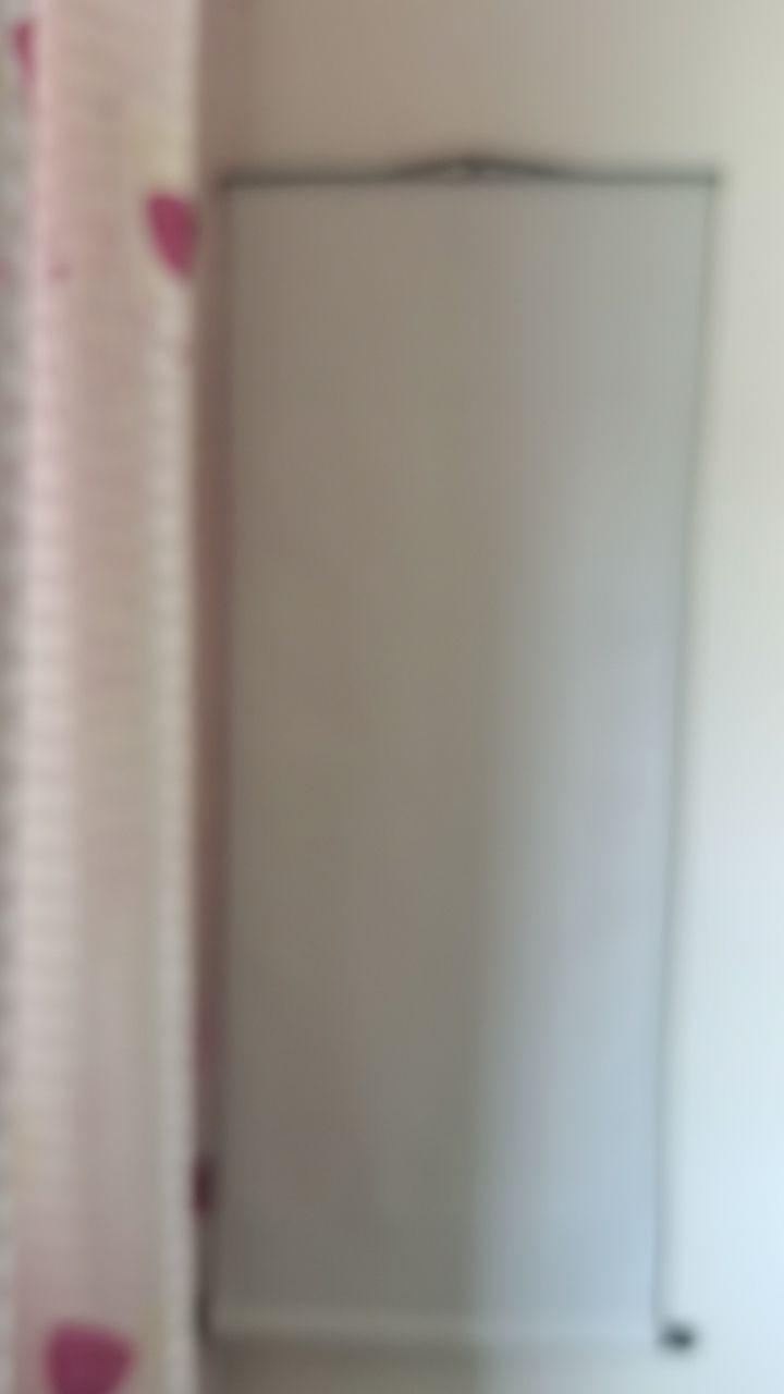 花开富贵牡丹飞燕国画卷轴